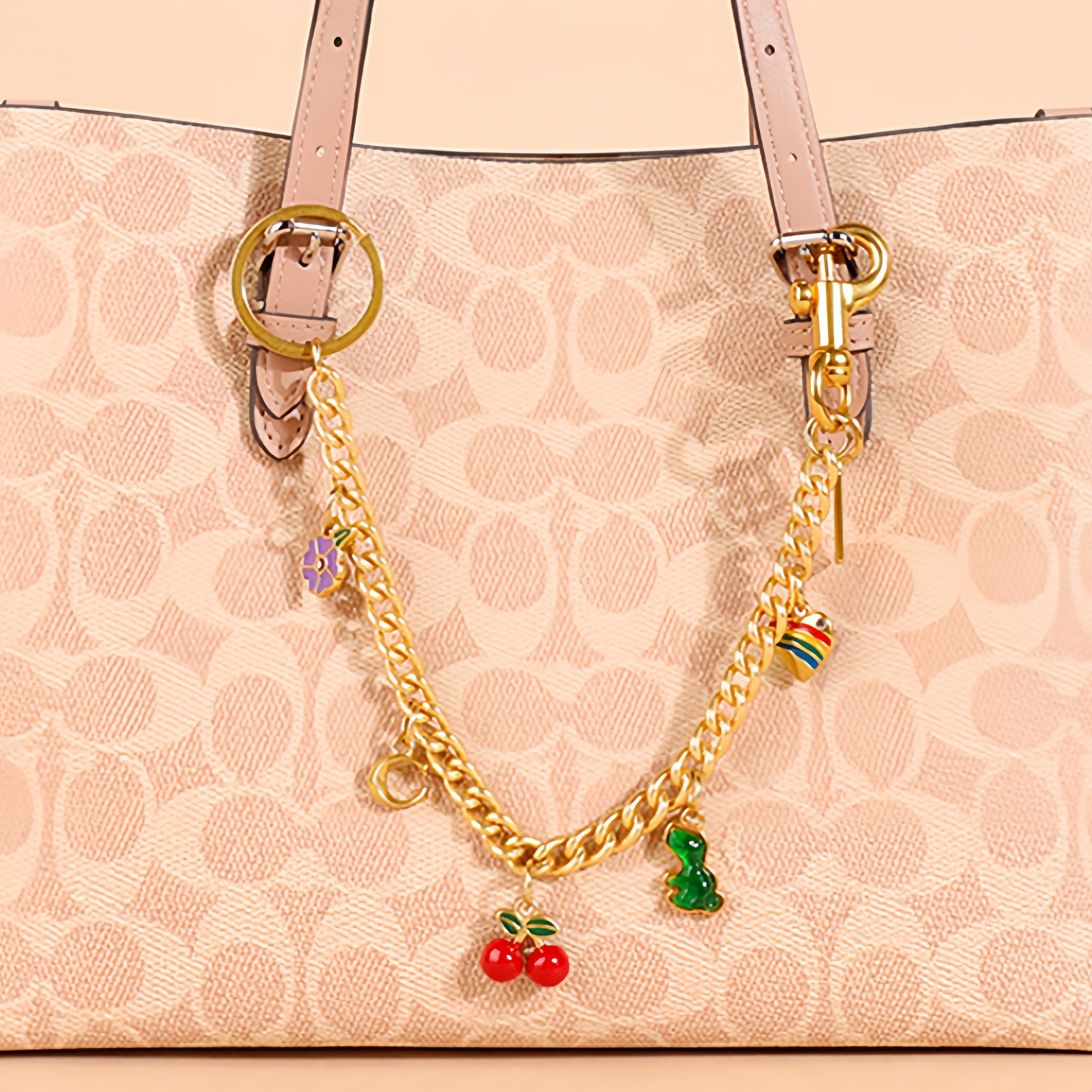 Charm Chain Bag Strap Mixed Bag Charm